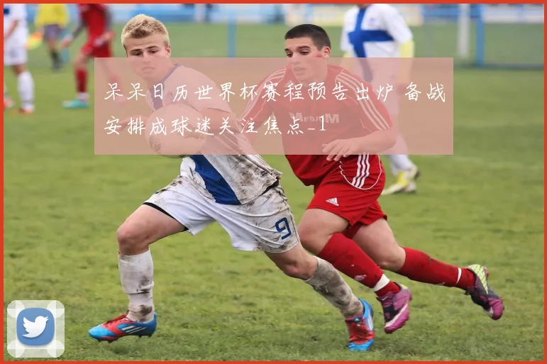 呆呆日历世界杯赛程预告出炉 备战安排成球迷关注焦点_1