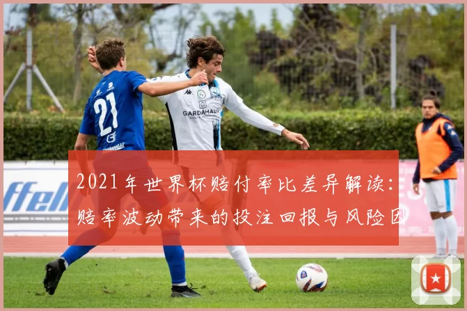 2021年世界杯赔付率比差异解读：赔率波动带来的投注回报与风险因素