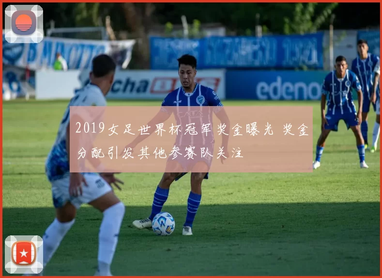 2019女足世界杯冠军奖金曝光 奖金分配引发其他参赛队关注